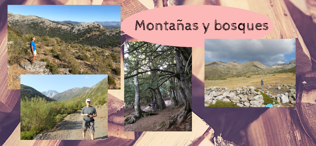 Caminar por montañas y bosques con tu profesor