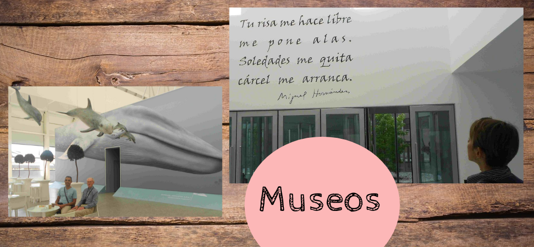 Visita museos para conocer la historia y la cultura española