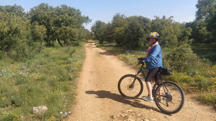 Encinas de el Monte el Viejo de Palencia